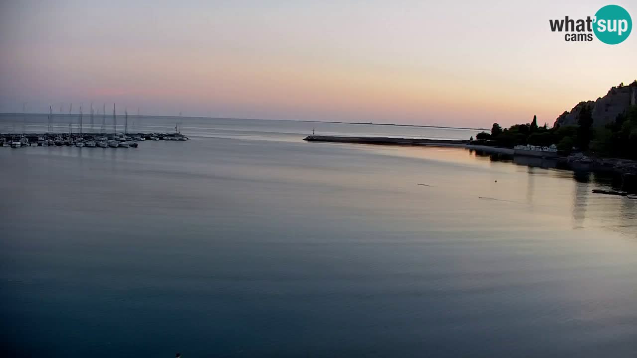 Webcam Sistiana – Marina and Bay Live View