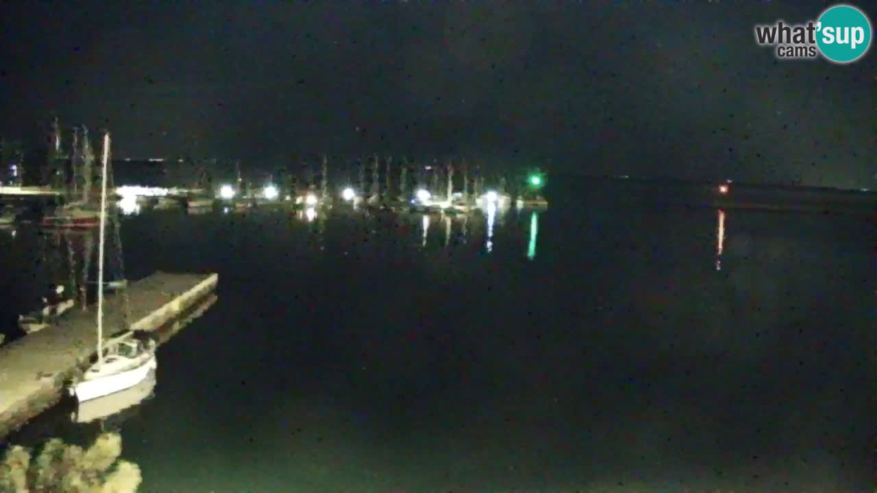 Webcam Sistiana – Marina and Bay Live View