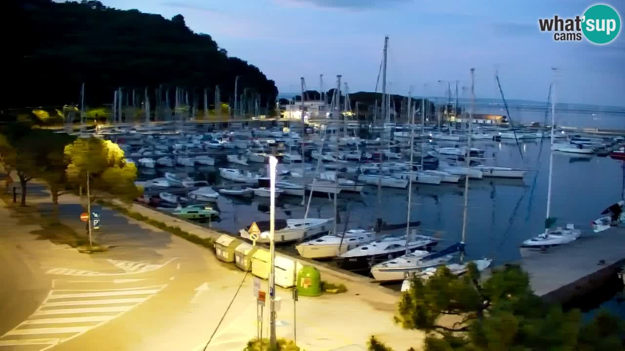 Webcam Sistiana – Blick auf Marina und Bucht