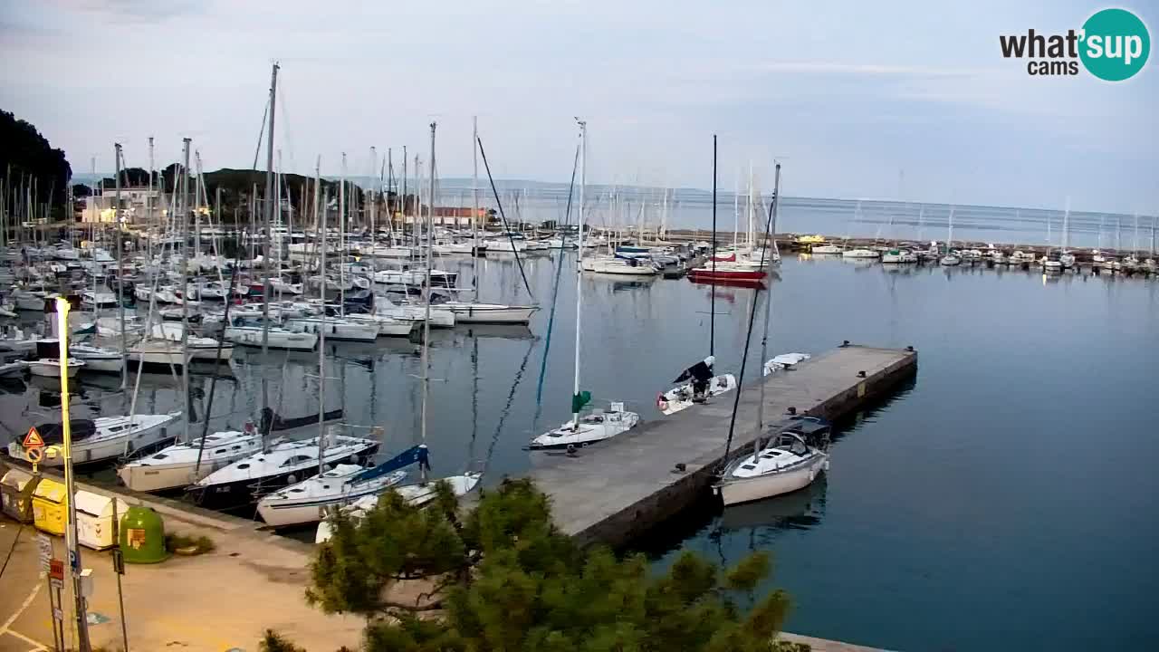 Webcam Sistiana – Vista sobre la marina y la bahía