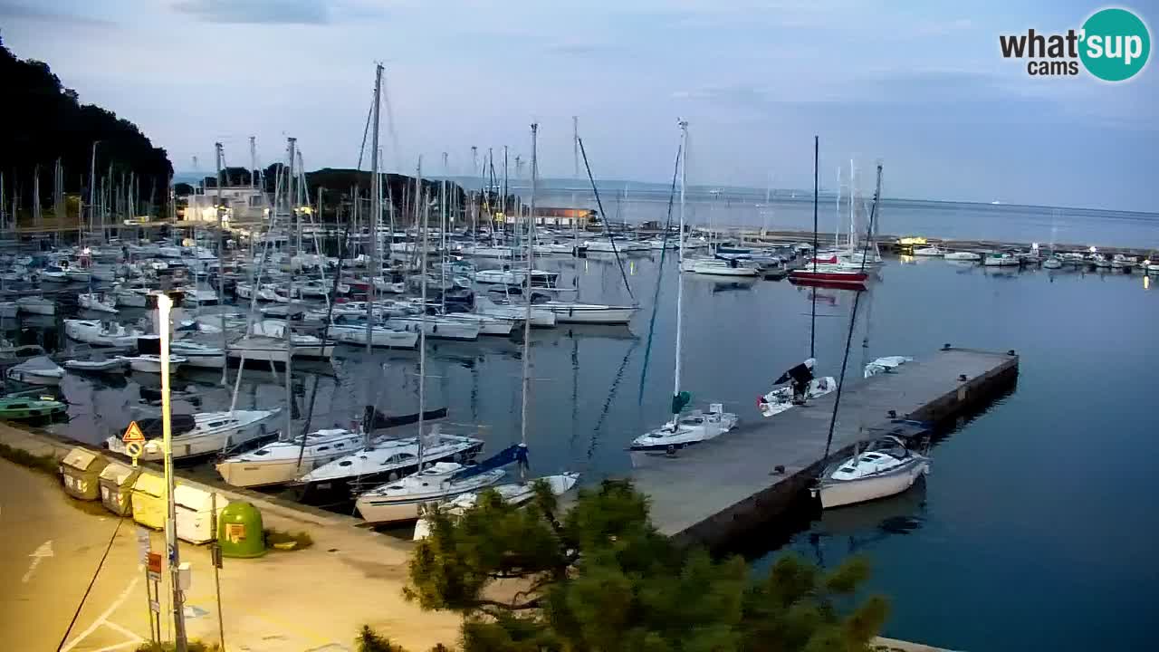 Spletna kamera Sesljan (Sistiana) – Pogled na marino in zaliv