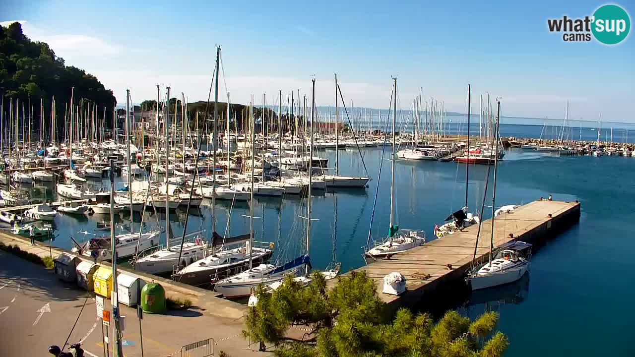 Webcam Sistiana – Pogled na marinu i zaljev