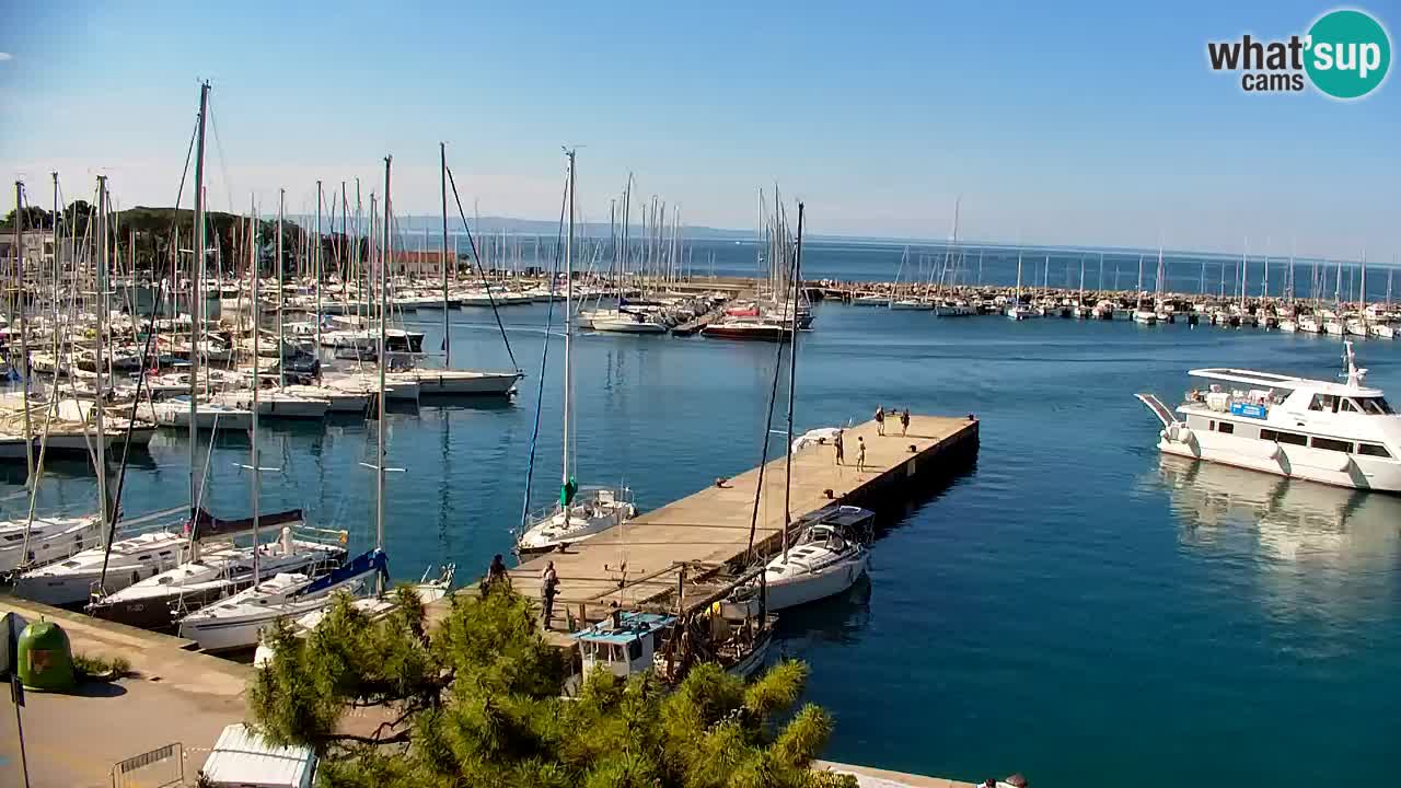 Webcam Sistiana – Marina and Bay Live View
