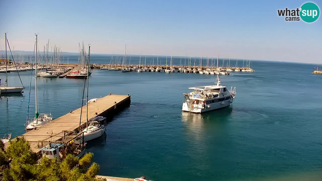 Webcam Sistiana – Marina and Bay Live View