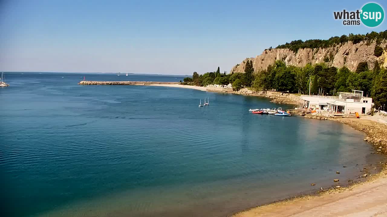 Webcam Sistiana – Marina and Bay Live View