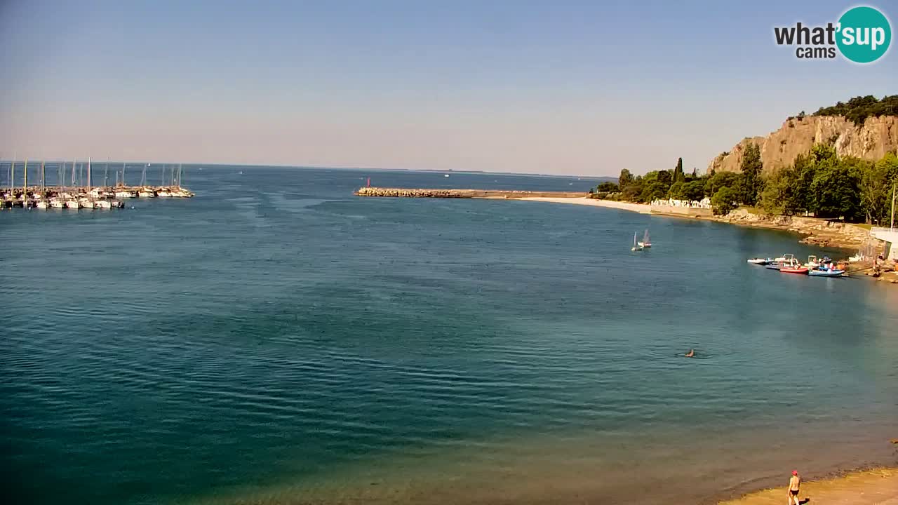 Webcam Sistiana – Blick auf Marina und Bucht