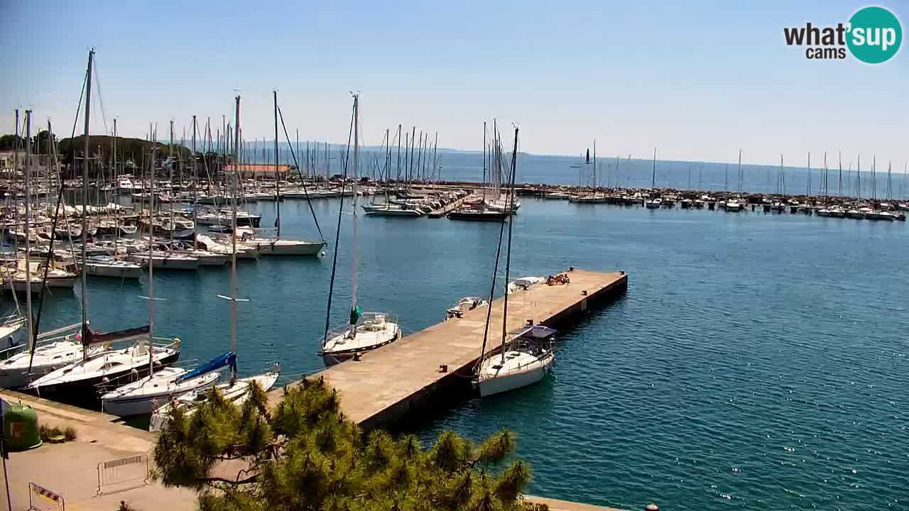 Webcam Sistiana – Vista sobre la marina y la bahía
