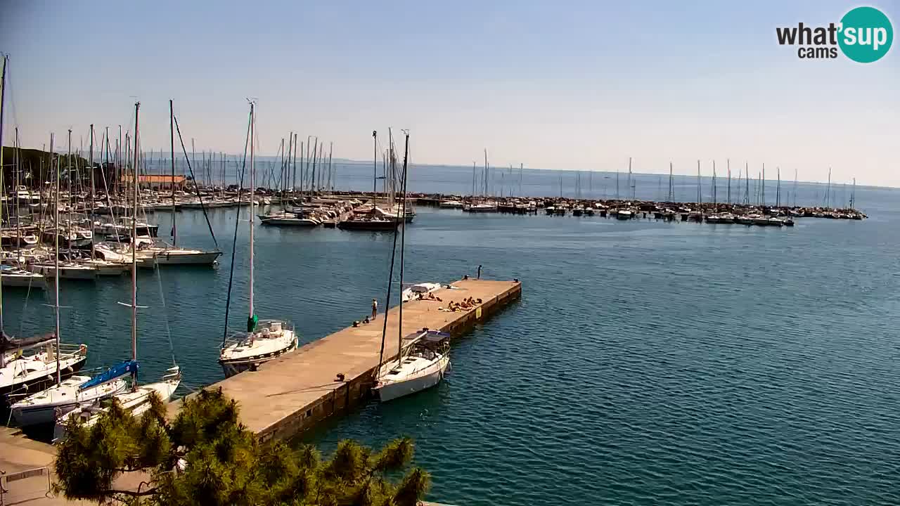 Spletna kamera Sesljan (Sistiana) – Pogled na marino in zaliv