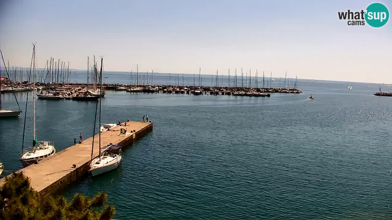 Webcam Sistiana – Pogled na marinu i zaljev