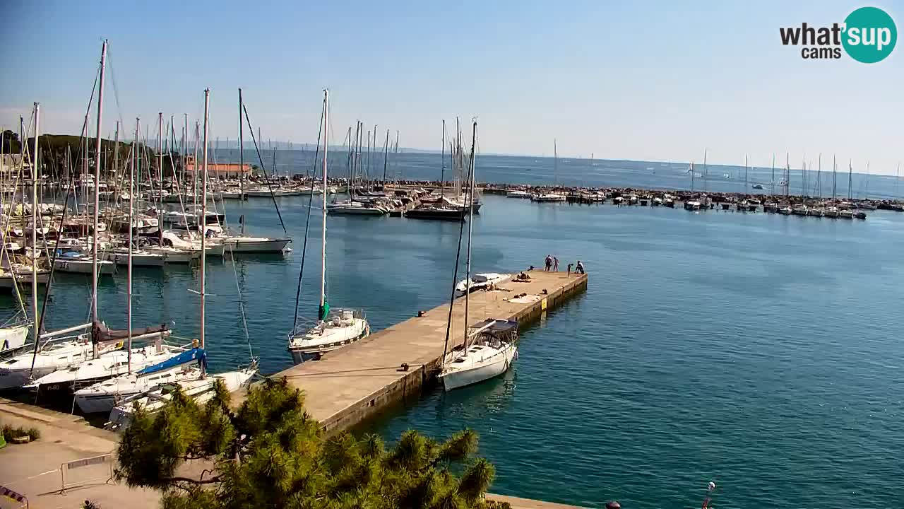 Webcam Sistiana – Marina and Bay Live View