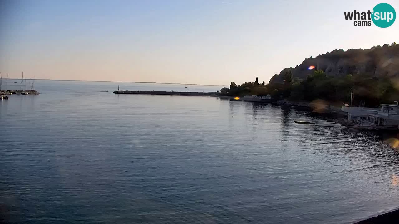 Webcam Sistiana – Pogled na marinu i zaljev