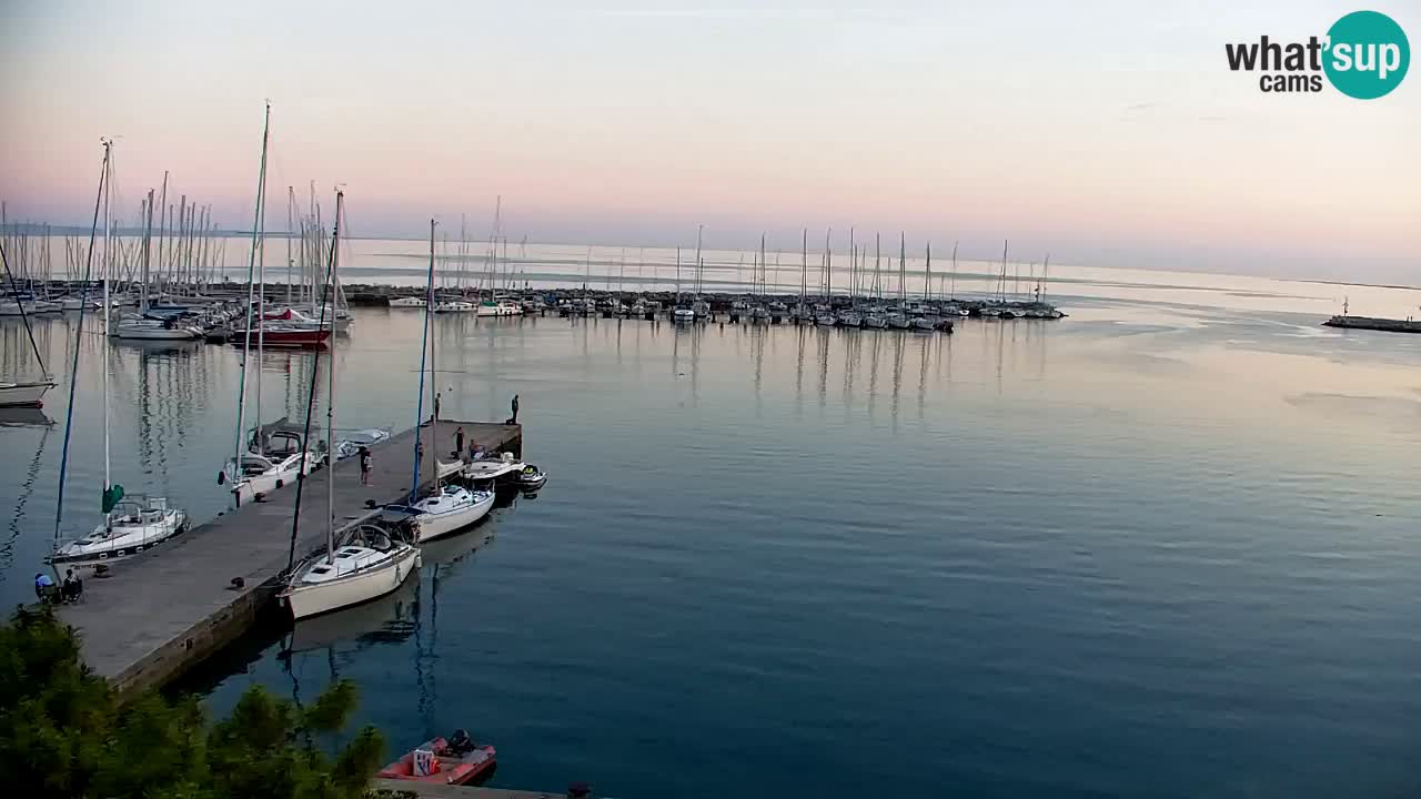 Spletna kamera Sesljan (Sistiana) – Pogled na marino in zaliv