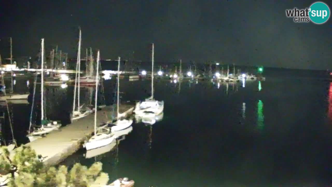 Webcam Sistiana – Pogled na marinu i zaljev