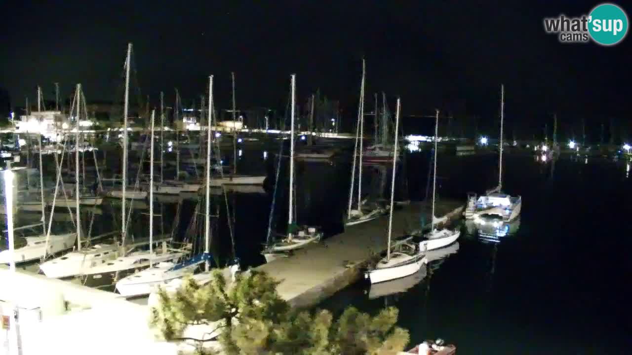 Webcam Sistiana – Marina and Bay Live View