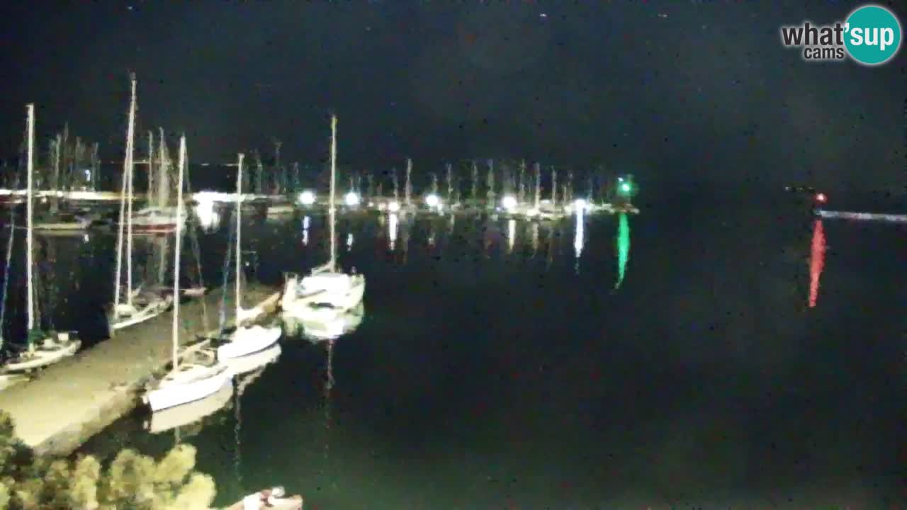 Webcam Sistiana – Marina and Bay Live View