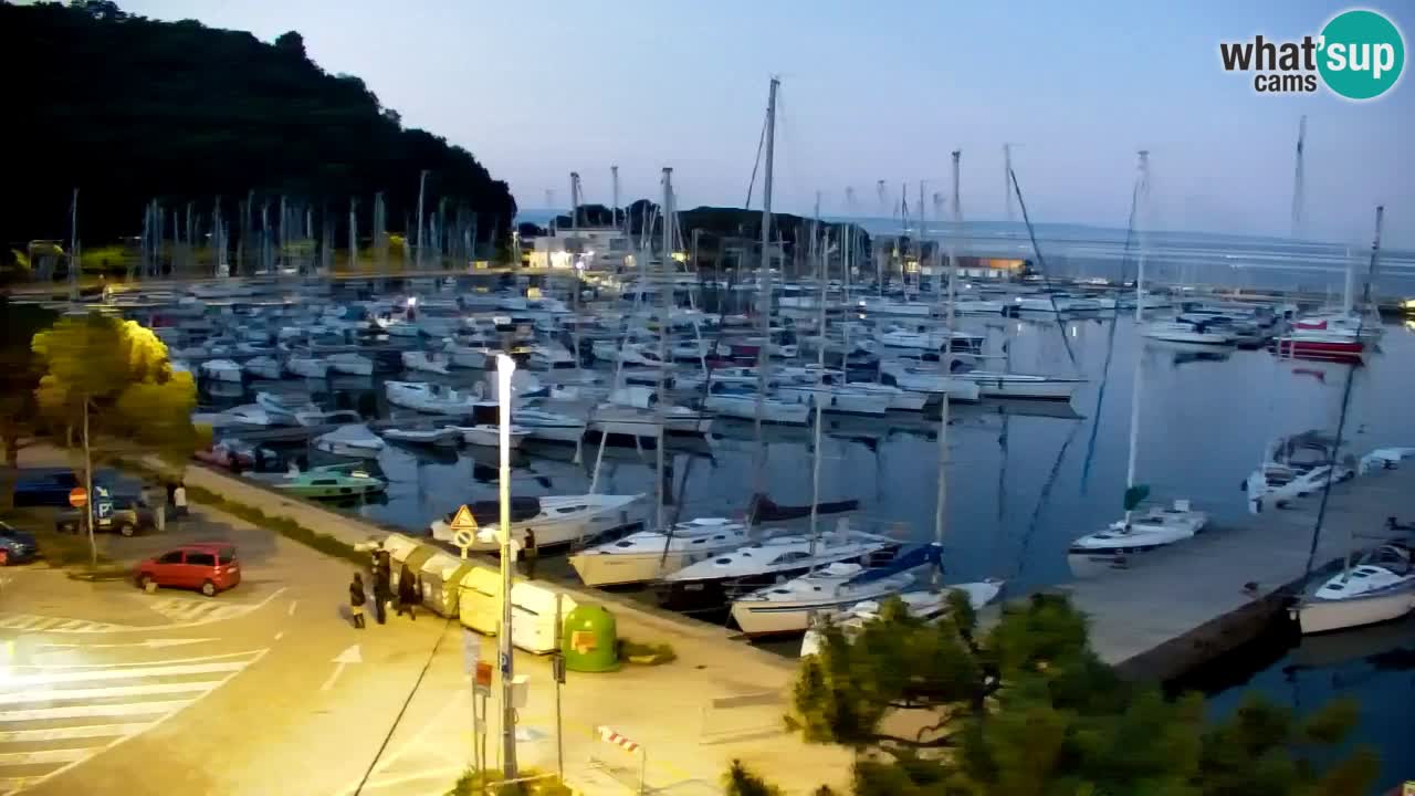 Webcam Sistiana – Marina and Bay Live View
