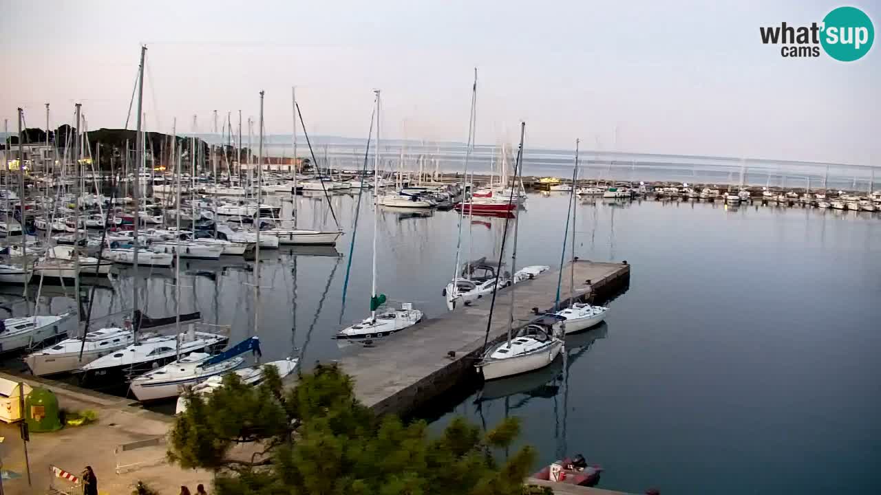 Webcam Sistiana – Marina and Bay Live View