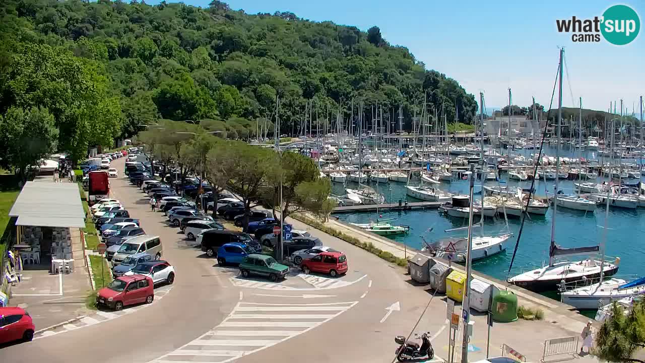 Webcam Sistiana Baia – Live View of the Marina and Gulf