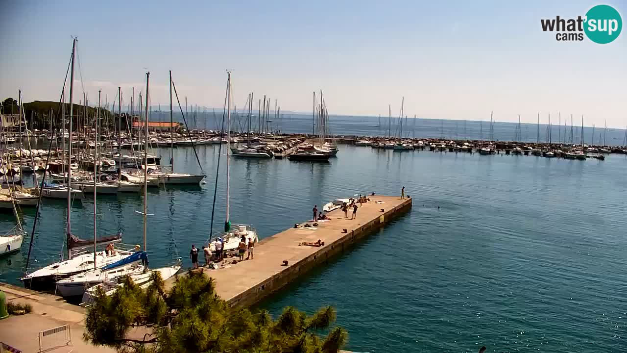 Webcam Sistiana Baia – Live View of the Marina and Gulf