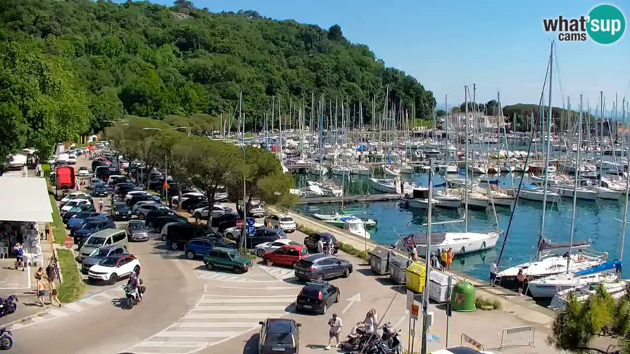 Web kamera Sistiana Uvala – Pogled uživo na marinu i zaljev