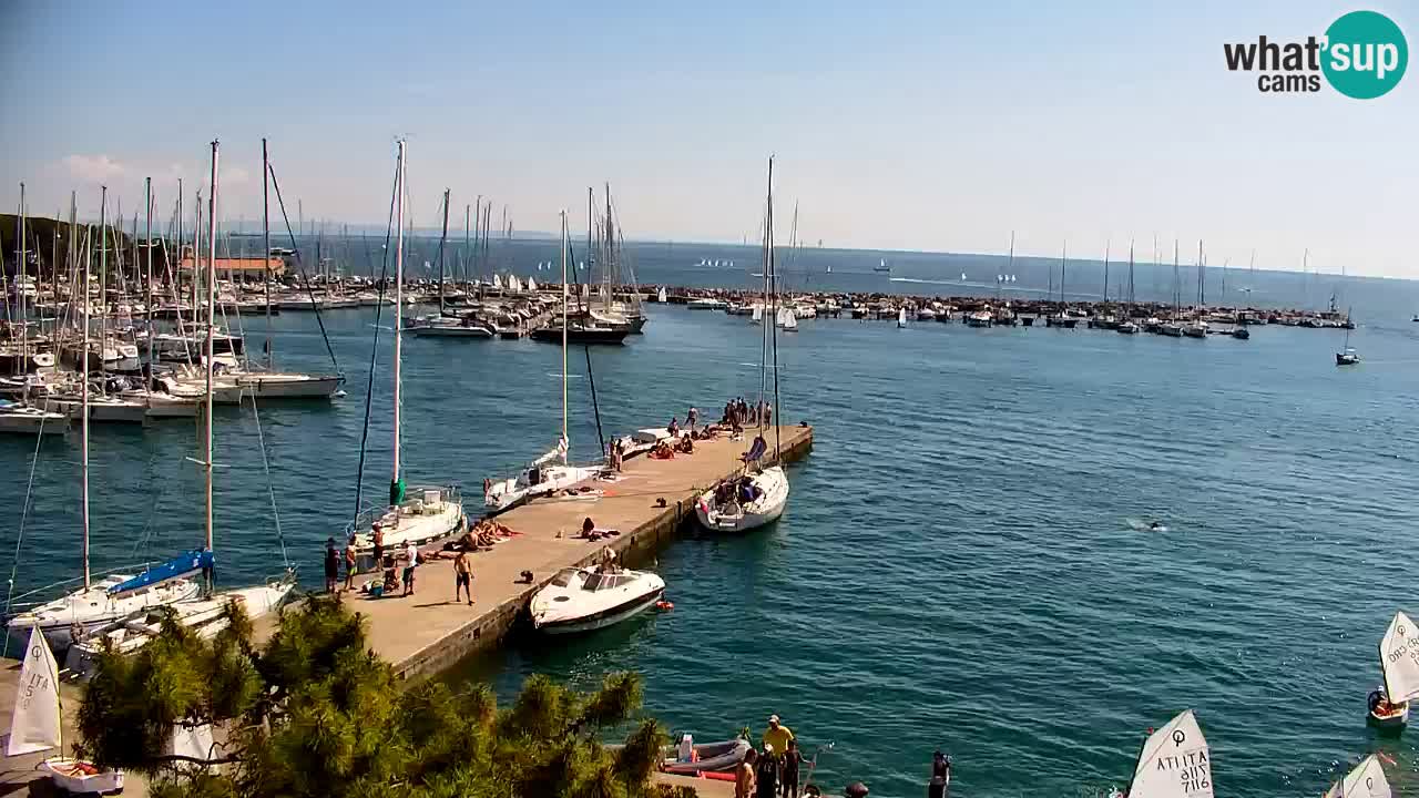Webcam Baia di Sistiana – Marina e Golfo in diretta