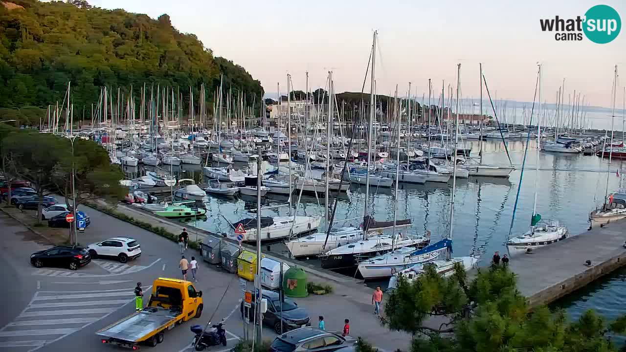 Webcam Sistiana Baia – Live View of the Marina and Gulf