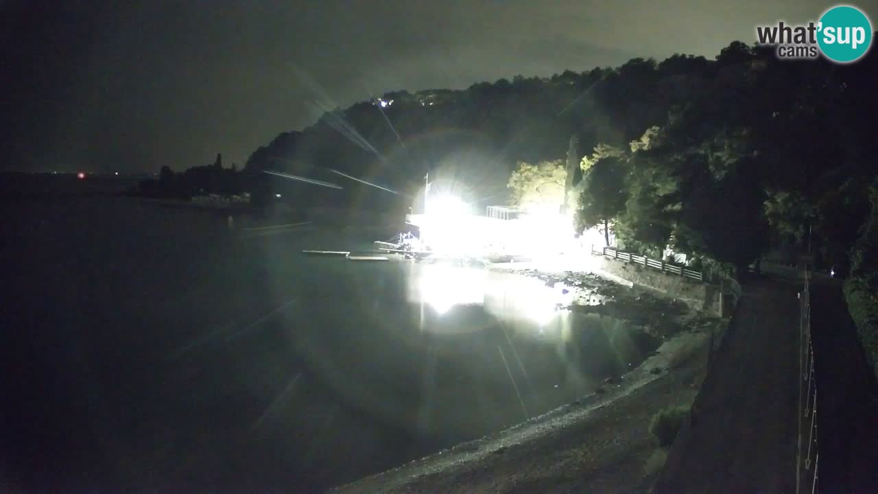 Spletna kamera Sesljanski zaliv – Pogled v živo na marino in zaliv