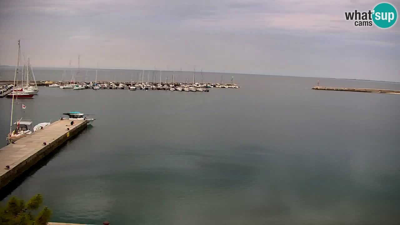 Webcam Baia di Sistiana – Marina e Golfo in diretta