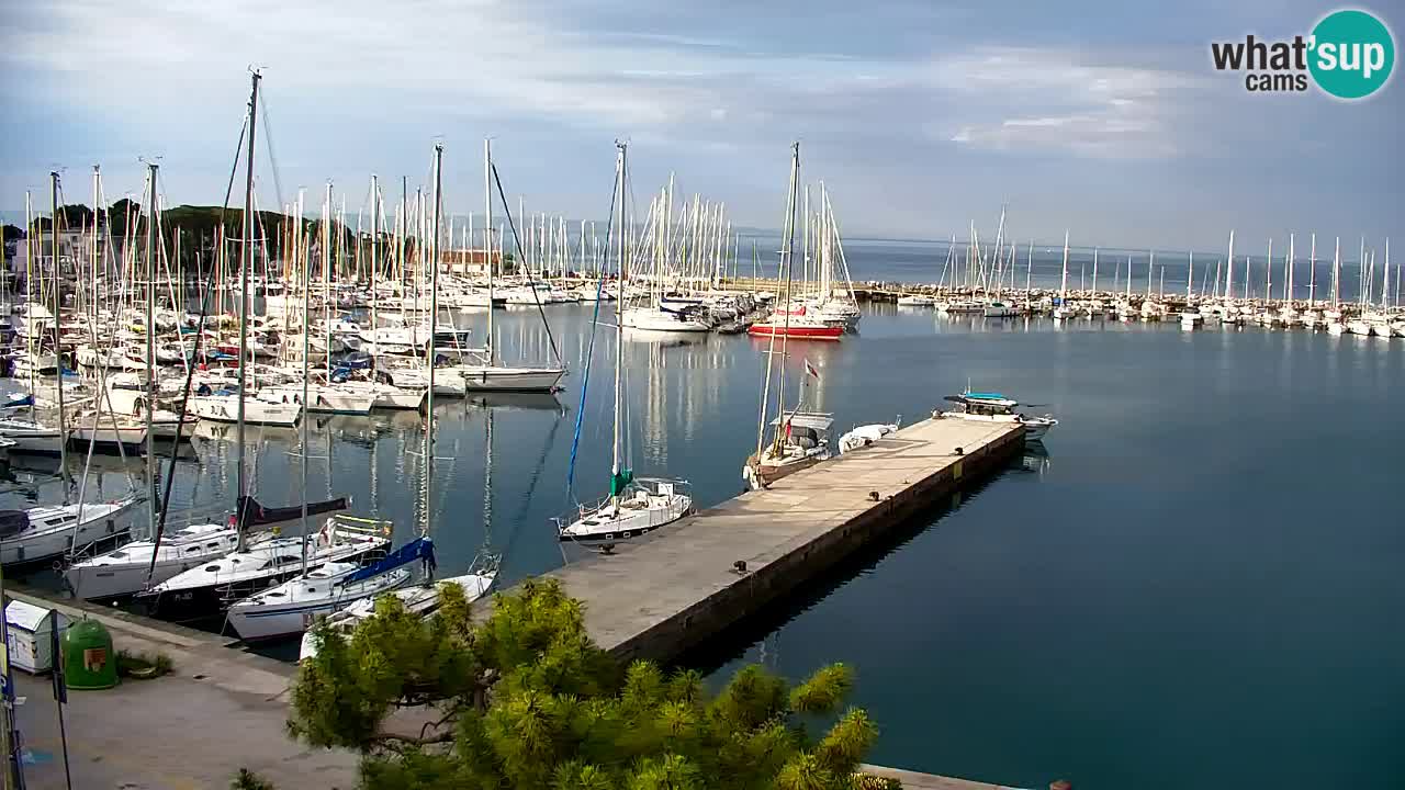 Webcam Bahía de Sistiana – Vista en directo del puerto deportivo y la costa