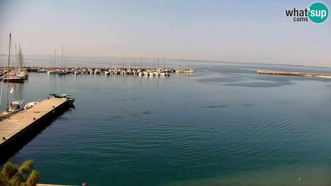 Webcam Sistiana Baia – Live View of the Marina and Gulf