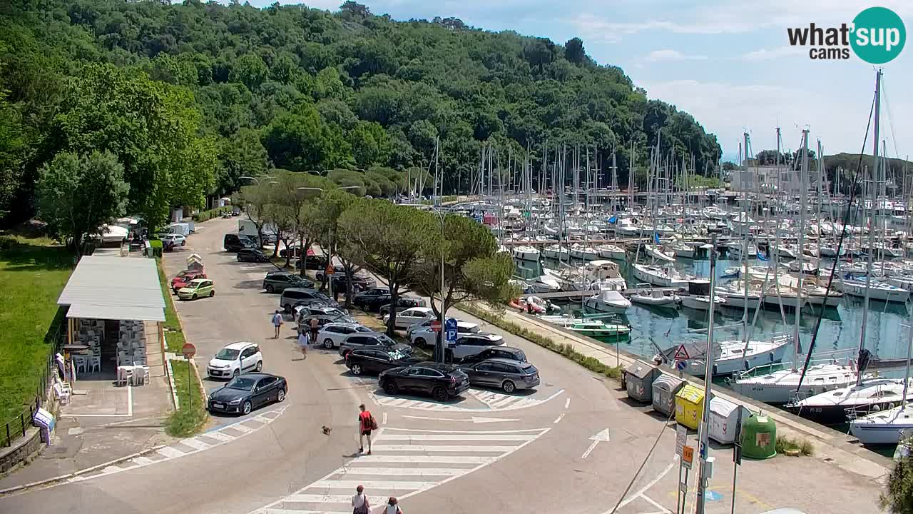 Webcam Sistiana Baia – Live View of the Marina and Gulf