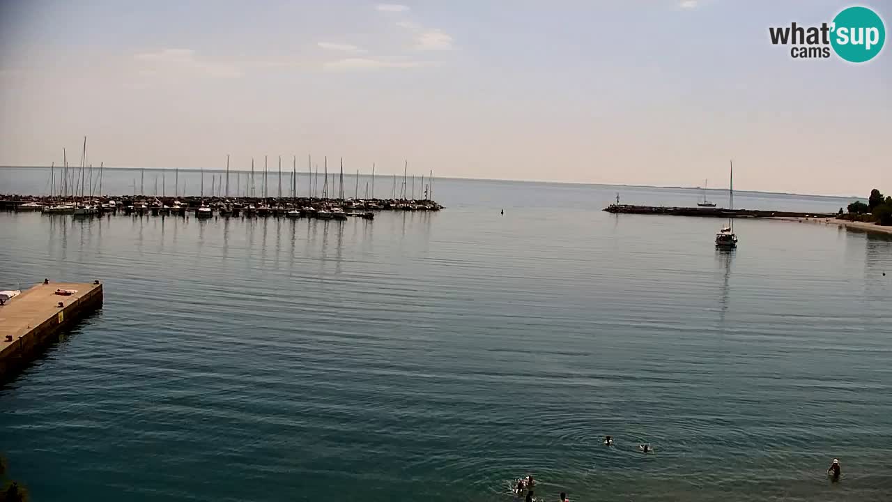 Webcam Sistiana Baia – Live View of the Marina and Gulf