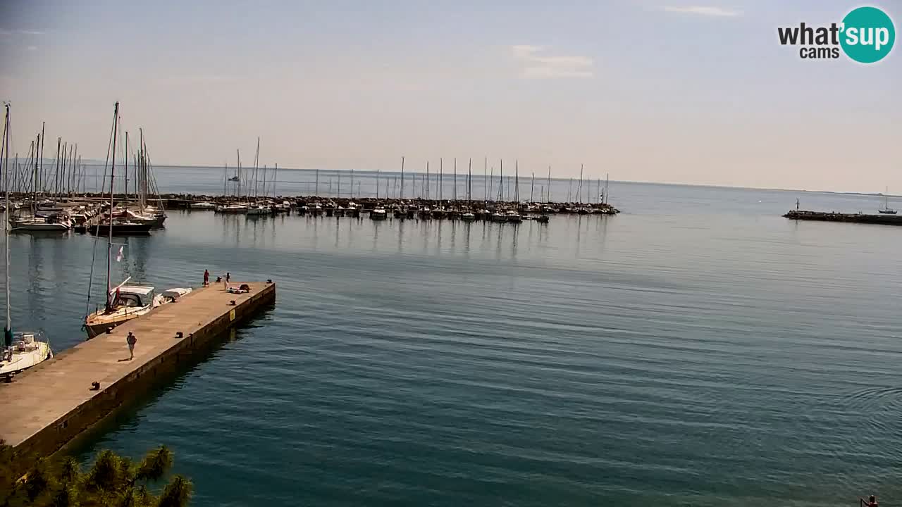 Webcam Sistiana Baia – Live View of the Marina and Gulf
