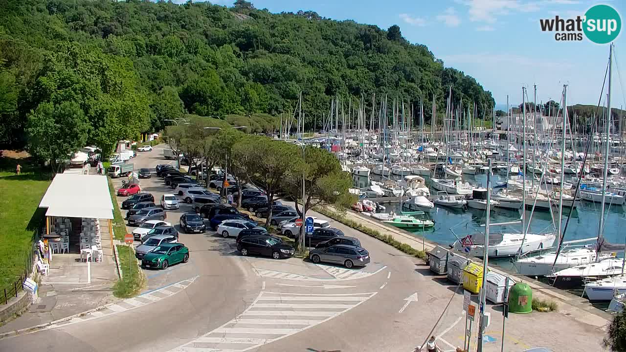 Webcam Bahía de Sistiana – Vista en directo del puerto deportivo y la costa