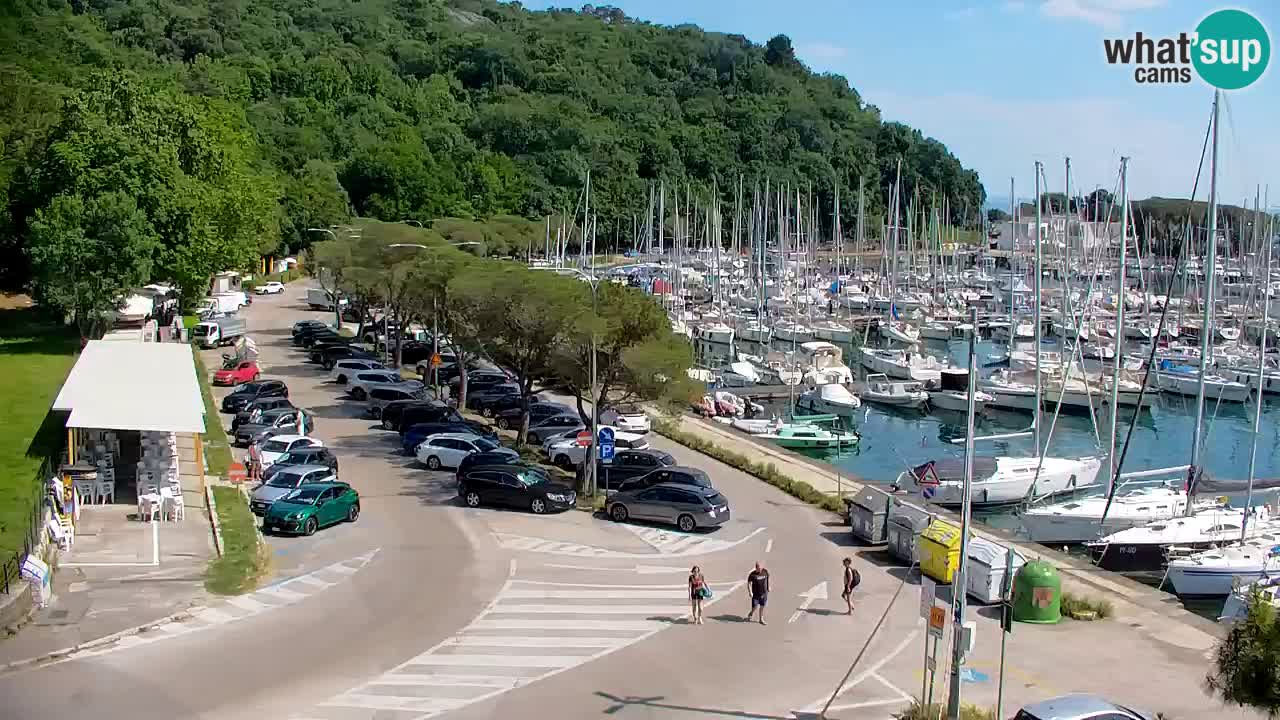Webcam Sistiana Baia – Live View of the Marina and Gulf