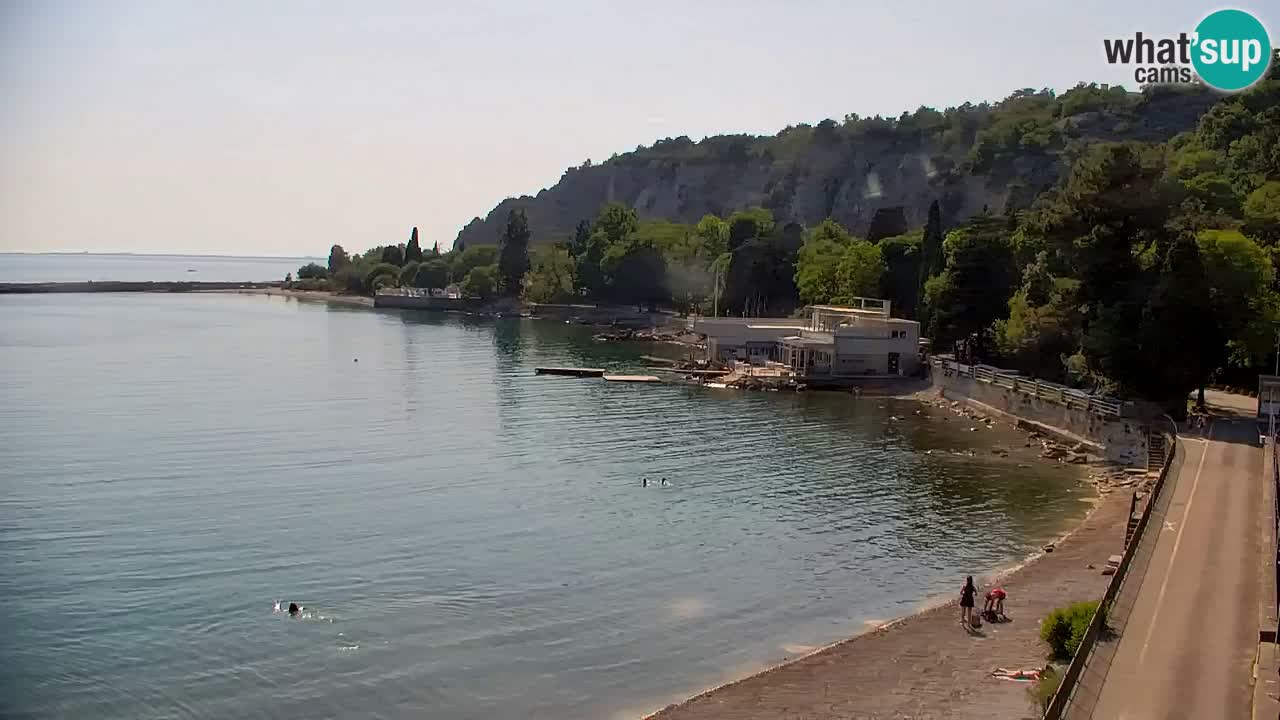 Webcam Sistiana Baia – Live View of the Marina and Gulf