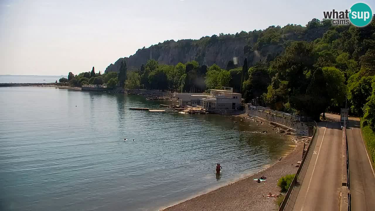 Webcam Bahía de Sistiana – Vista en directo del puerto deportivo y la costa