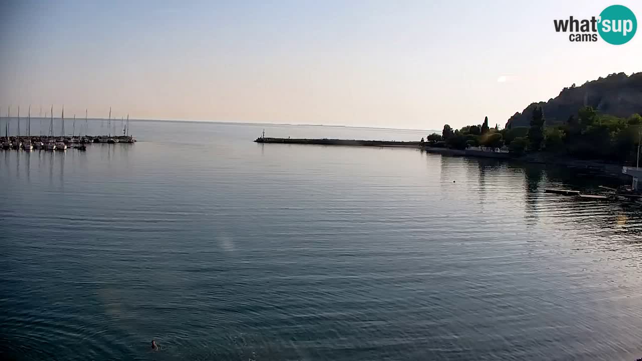 Webcam Baia di Sistiana – Marina e Golfo in diretta