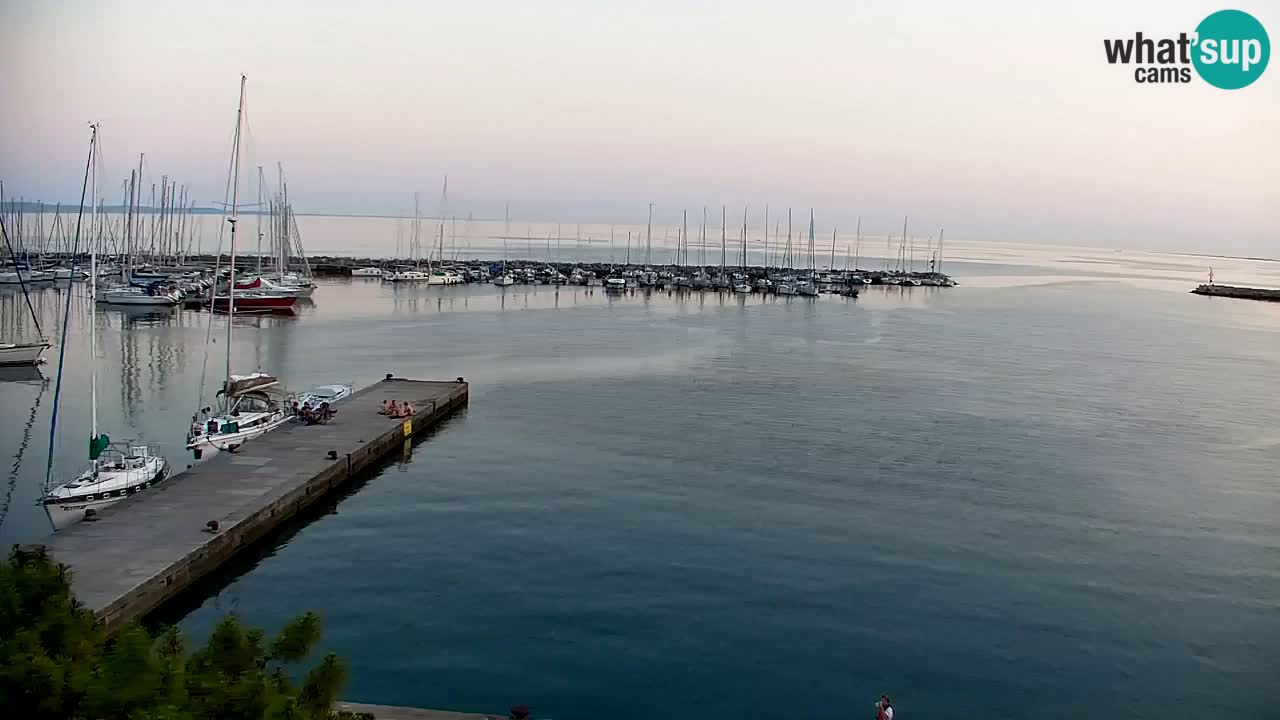 Webcam Sistiana Baia – Live View of the Marina and Gulf