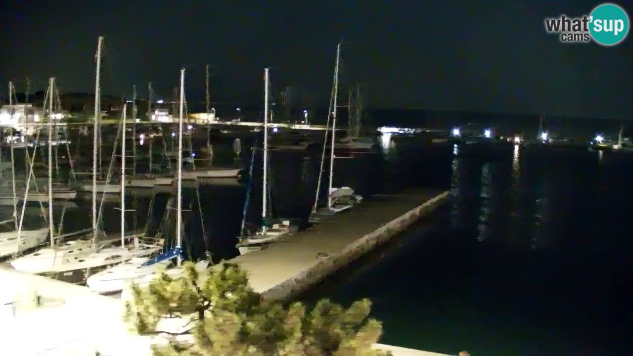 Webcam Sistiana Baia – Live View of the Marina and Gulf