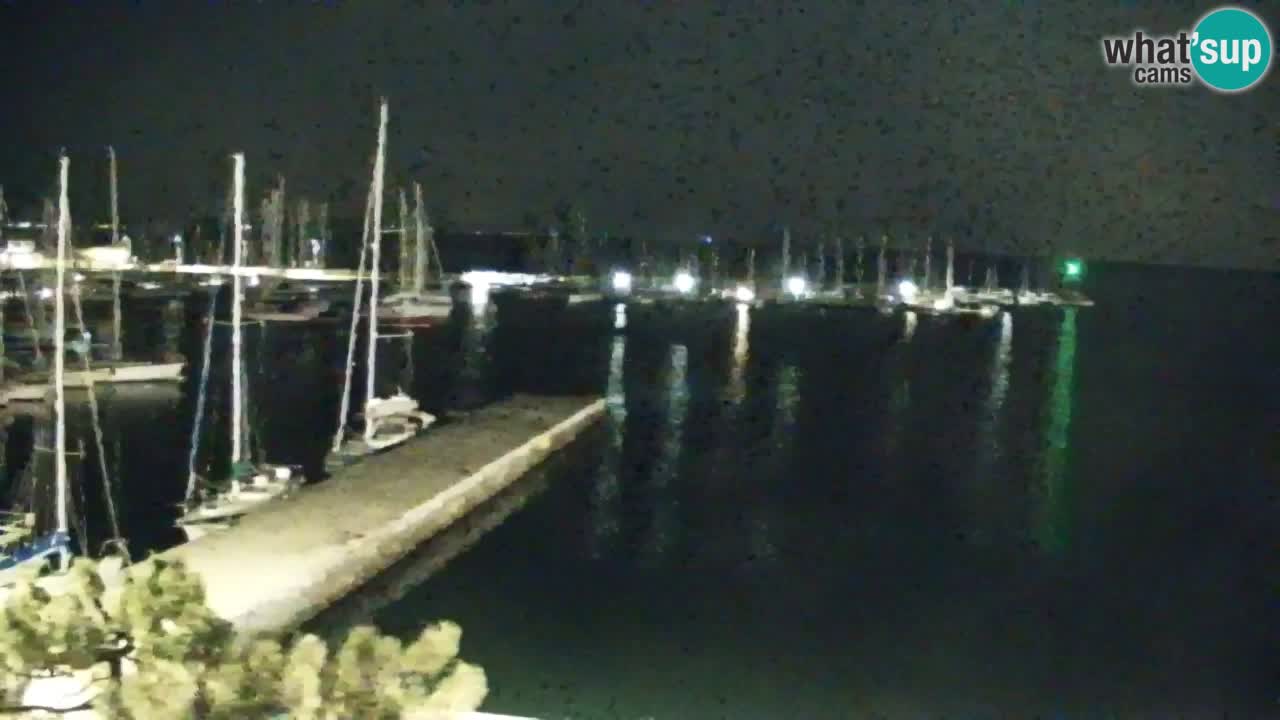 Webcam Sistiana Baia – Live View of the Marina and Gulf