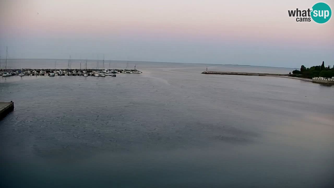 Webcam Bahía de Sistiana – Vista en directo del puerto deportivo y la costa