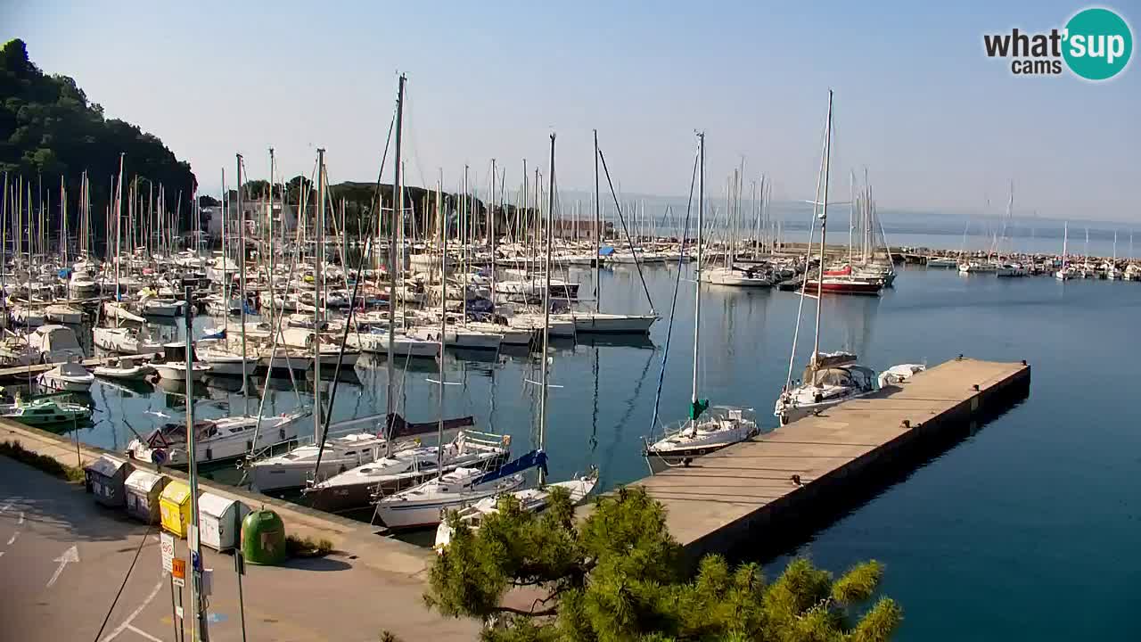 Webcam Sistiana Baia – Live View of the Marina and Gulf