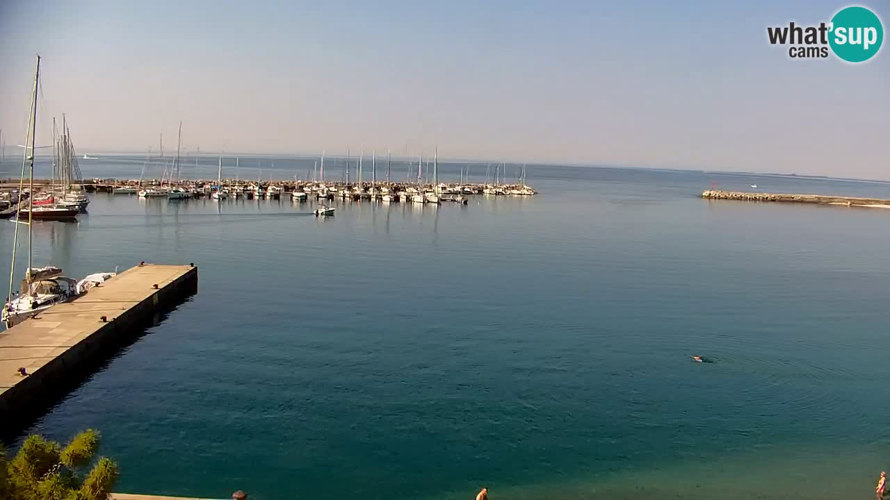 Webcam Sistiana Bucht – Liveblick auf Marina und Bucht