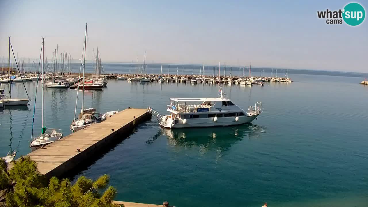 Spletna kamera Sesljanski zaliv – Pogled v živo na marino in zaliv