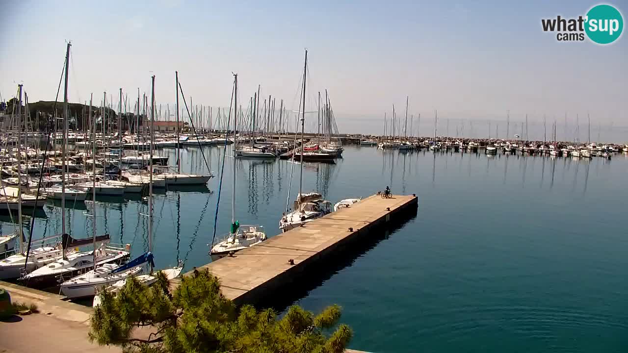 Webcam Sistiana Baia – Live View of the Marina and Gulf