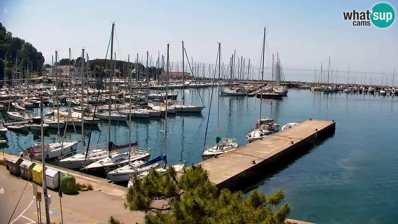 Webcam Bahía de Sistiana – Vista en directo del puerto deportivo y la costa