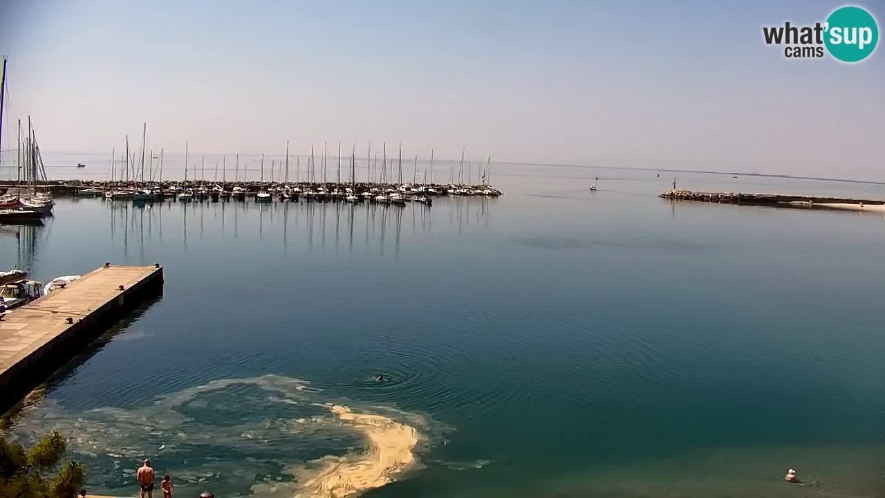 Webcam Baie de Sistiana – Vue en direct de la marina et de la baie
