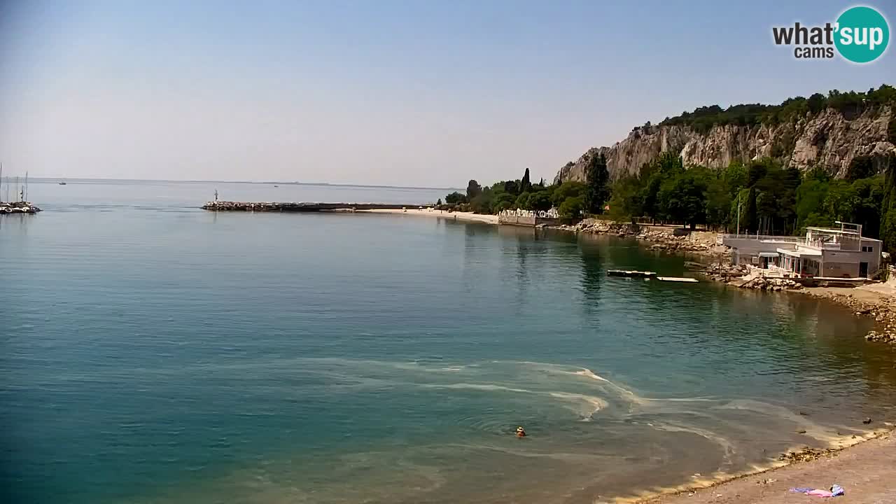 Webcam Bahía de Sistiana – Vista en directo del puerto deportivo y la costa
