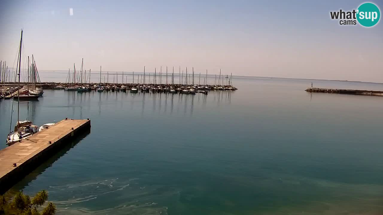 Webcam Bahía de Sistiana – Vista en directo del puerto deportivo y la costa